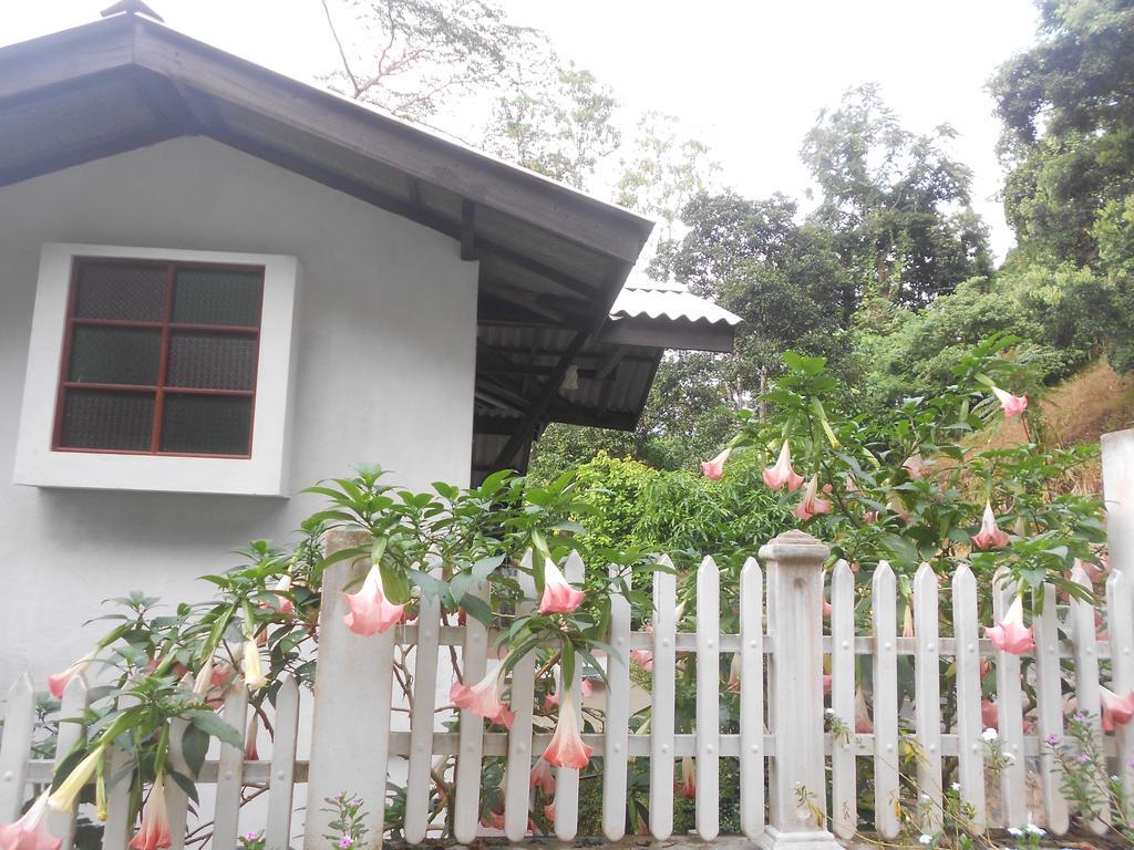 Resort Beam Kandy Exterior photo